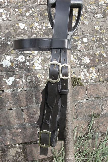 bridle work.